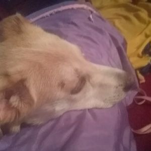 Meet your Posher, Aurora